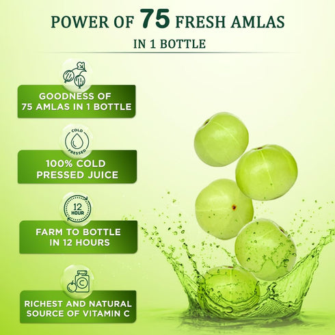 Baidyanath Vansaar Amla Juice
